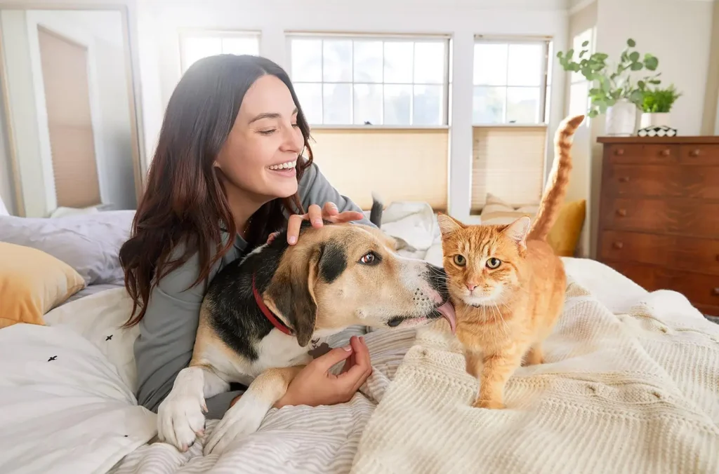 perro y gato
