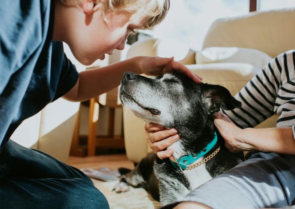 perro senior recibiendo cariño de su familia